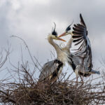 Jahresthema 2021 – Serien