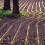 Jahresthema 2023 – Linien